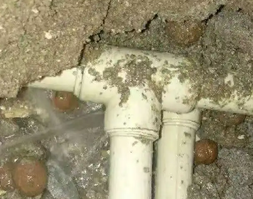 梅里斯测漏水多少钱