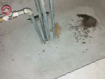 梅里斯卫生间测漏水价格明细